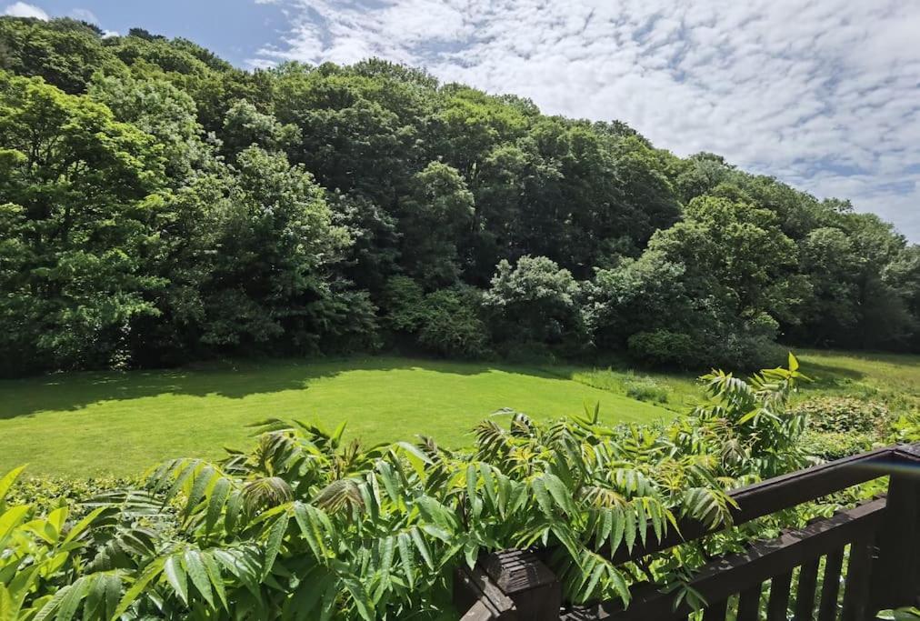 Kallowen Cottage At Crackington Haven, Near Bude And Boscastle, Cornwall 외부 사진
