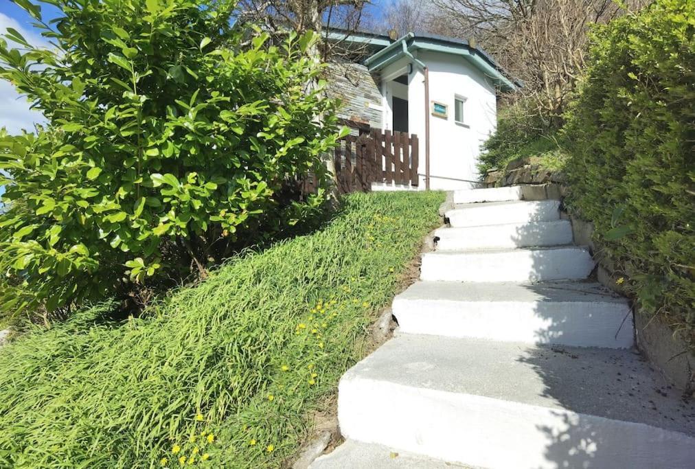 Kallowen Cottage At Crackington Haven, Near Bude And Boscastle, Cornwall 외부 사진